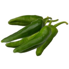Padron groene pepers